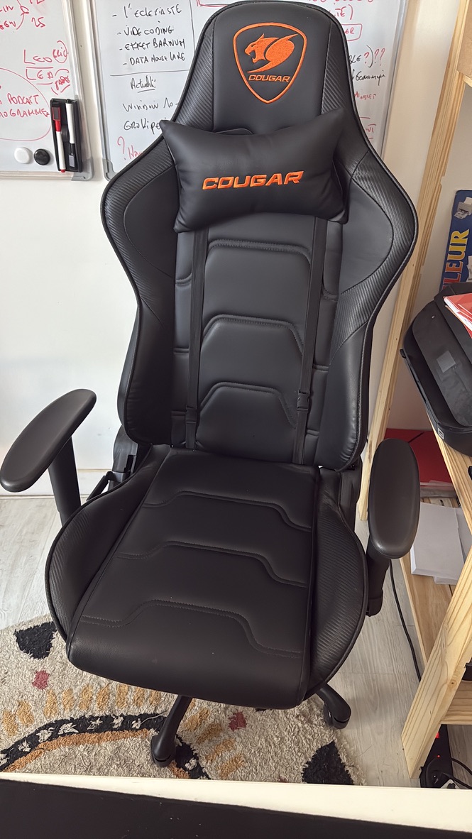 Original photograph of the chair used for the demonstration